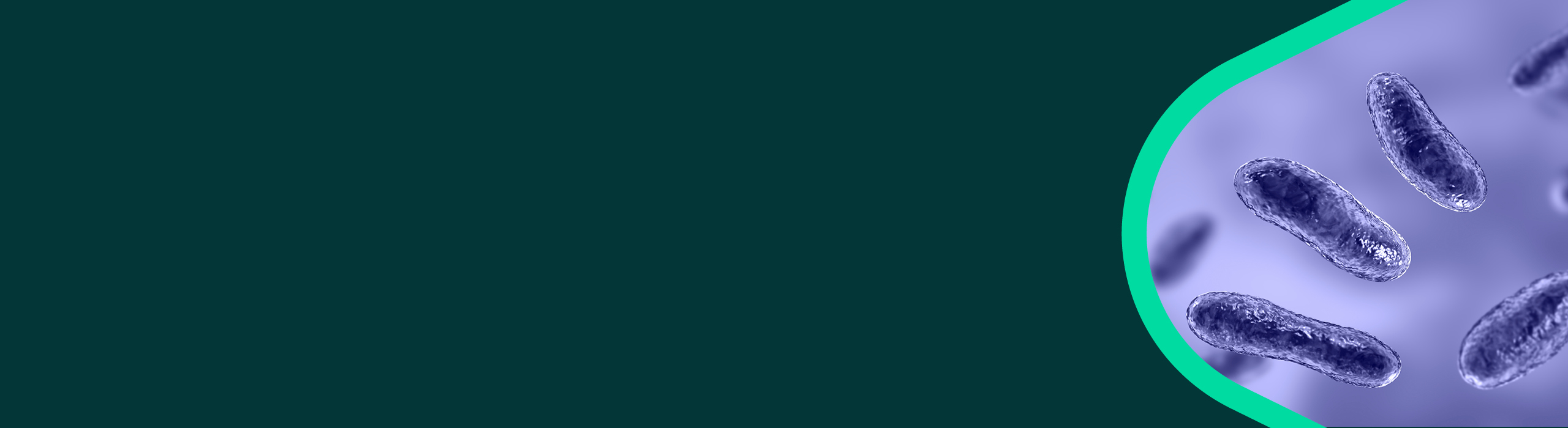 Banner with AI-generated image of the Q fever pathogen