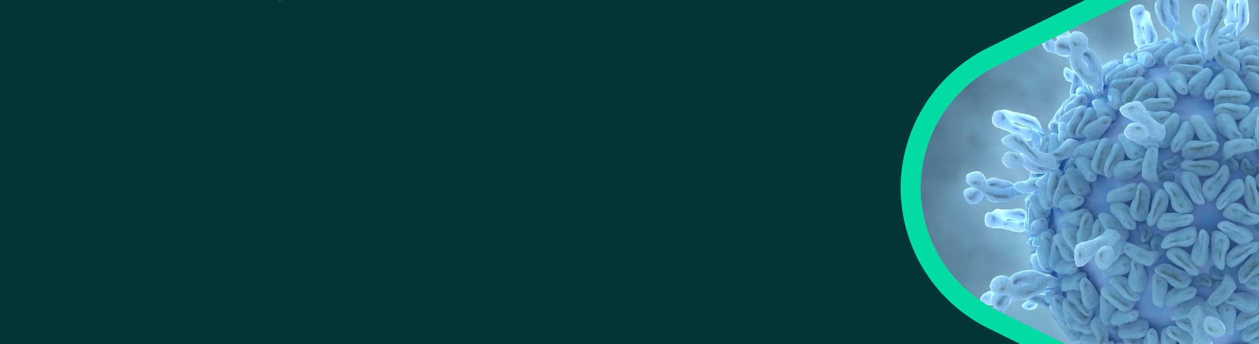 Banner with a drawing of the rotavirus pathogen