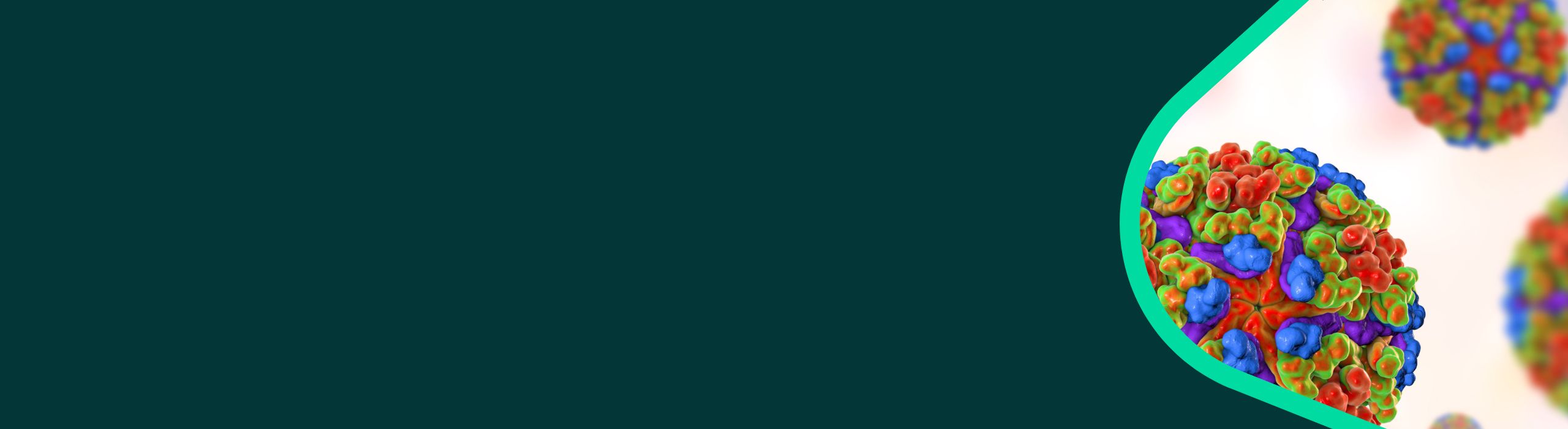 Web banner with a drawing of the chikungunya pathogen