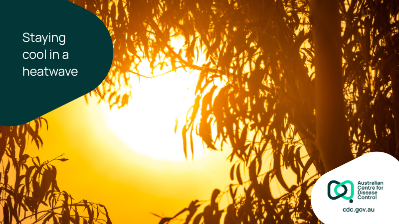 Staying cool in a heatwave | Australian Centre for Disease Control