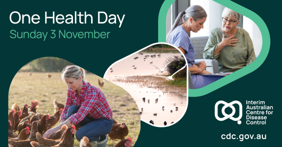 One Health Day 2024 – Understanding the connection between human, animal and environmental health