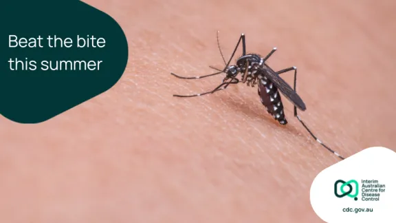 Image of a mosquito with text reading "Beat the bite this summer"