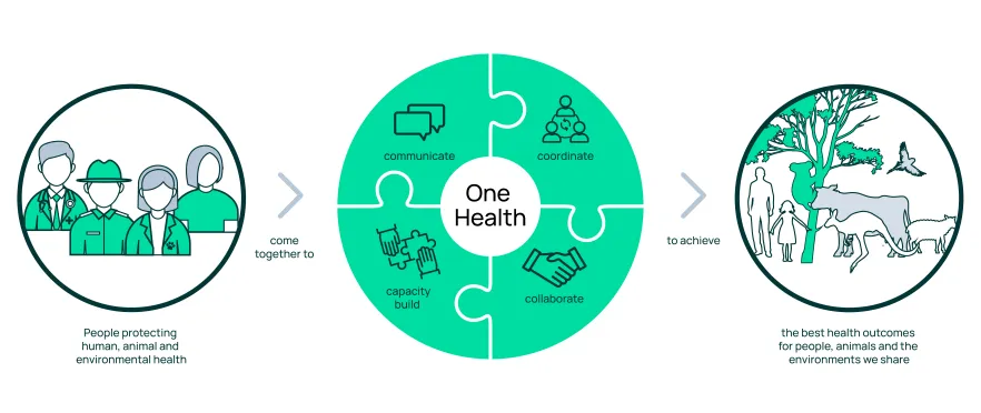 This graphic highlights the connection between the health of humans, animals and the environment and the need to work together to protect them all. It says, 'People protecting human, animal, and environmental health coming together to communicate, coordinate, capacity build and collaborate to achieve the best health outcomes for people, animals and the environments we share.'