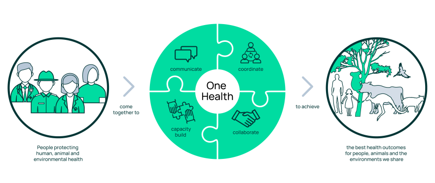 This graphic highlights the connection between the health of humans, animals and the environment and the need to work together to protect them all. It says, 'People protecting human, animal, and environmental health coming together to communicate, coordinate, capacity build and collaborate to achieve the best health outcomes for people, animals and the environments we share.'