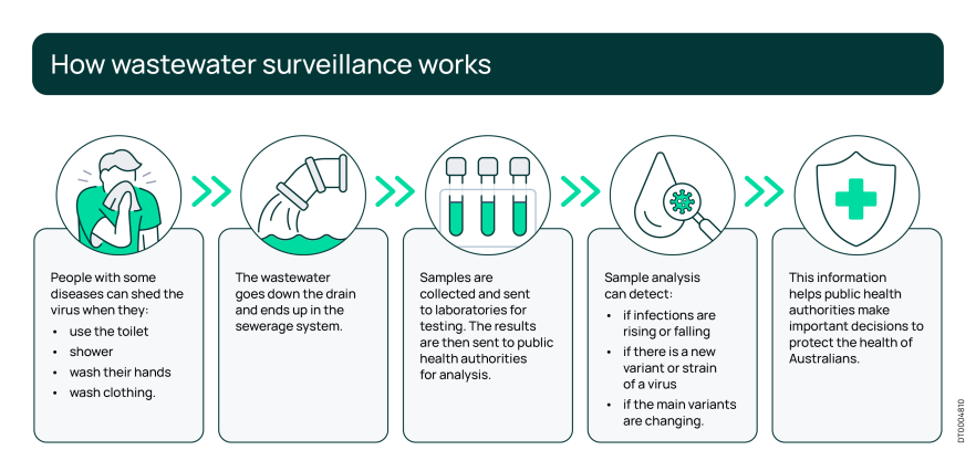 Infographic showing the steps of wastewater surveillance