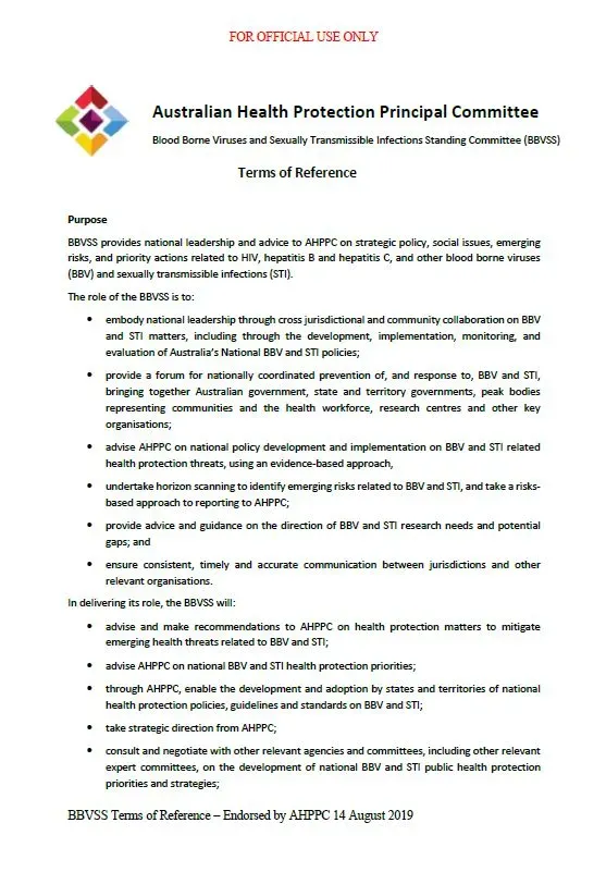 Screenshot of the document