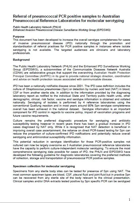 Screenshot of the document 