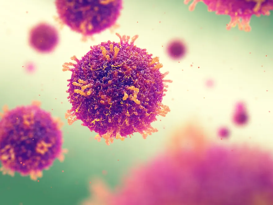 Image of the measles virus