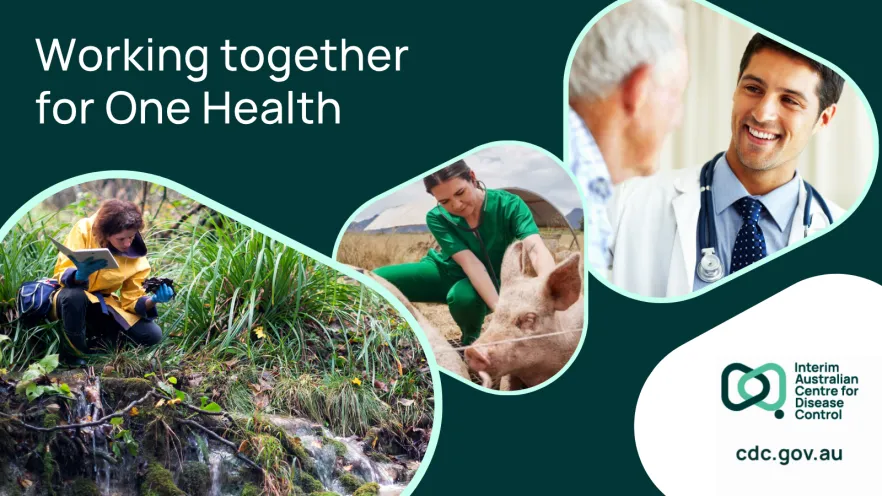 collage of images showing people interacting with animals and nature