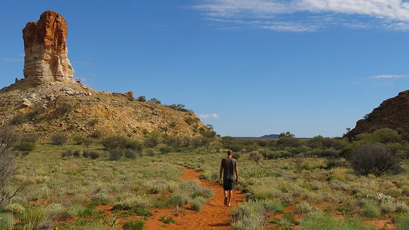 Image of a Northern Territory landscape