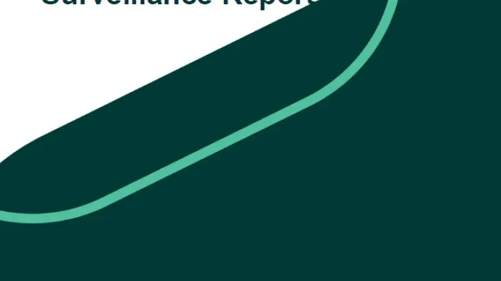 Screenshot of the document 