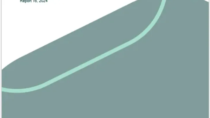 Screenshot of the document 