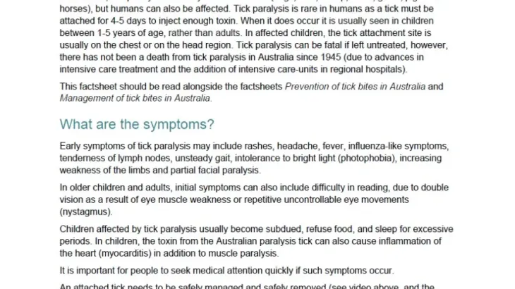 First page of fact sheet