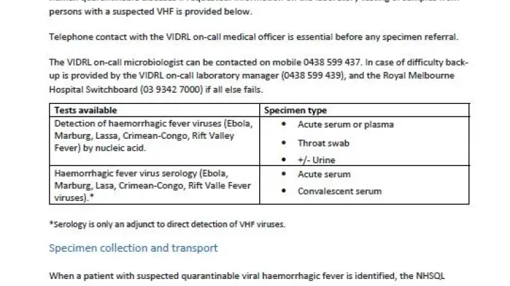 Screenshot of the document