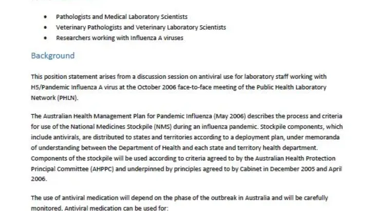 Screenshot of the document