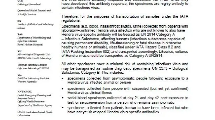 Screenshot of the document