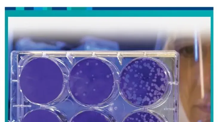 Biotoxins (indoor damp and mould) Clinical Pathway