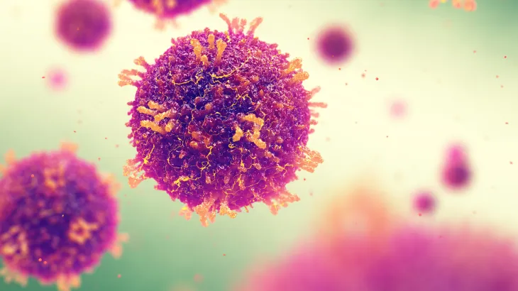 Image of the measles virus
