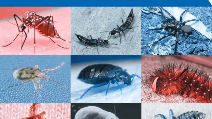 Front cover of guidance document