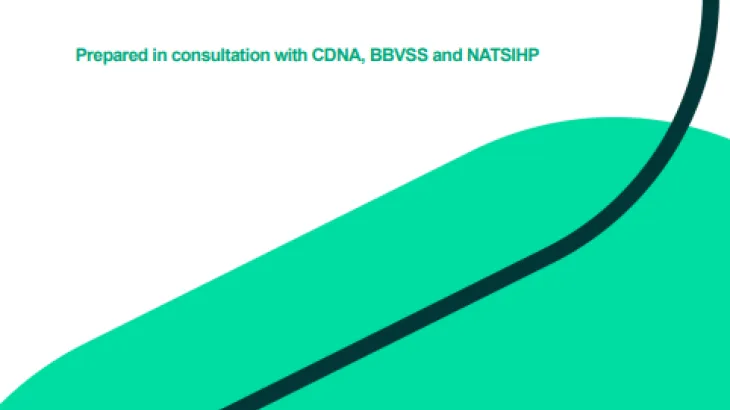 National Syphilis Surveillance and Monitoring Plan cover page