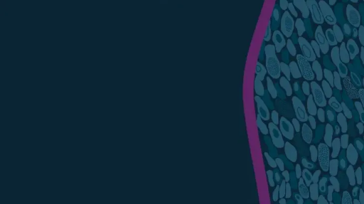 Fifth National Hepatitis C Strategy 2018–2022