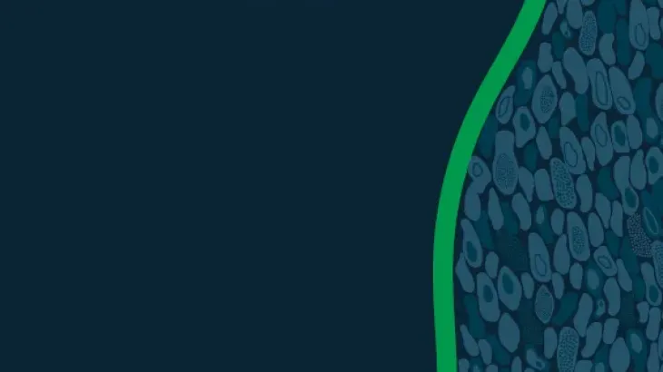 Third National Hepatitis B Strategy 2018–2022